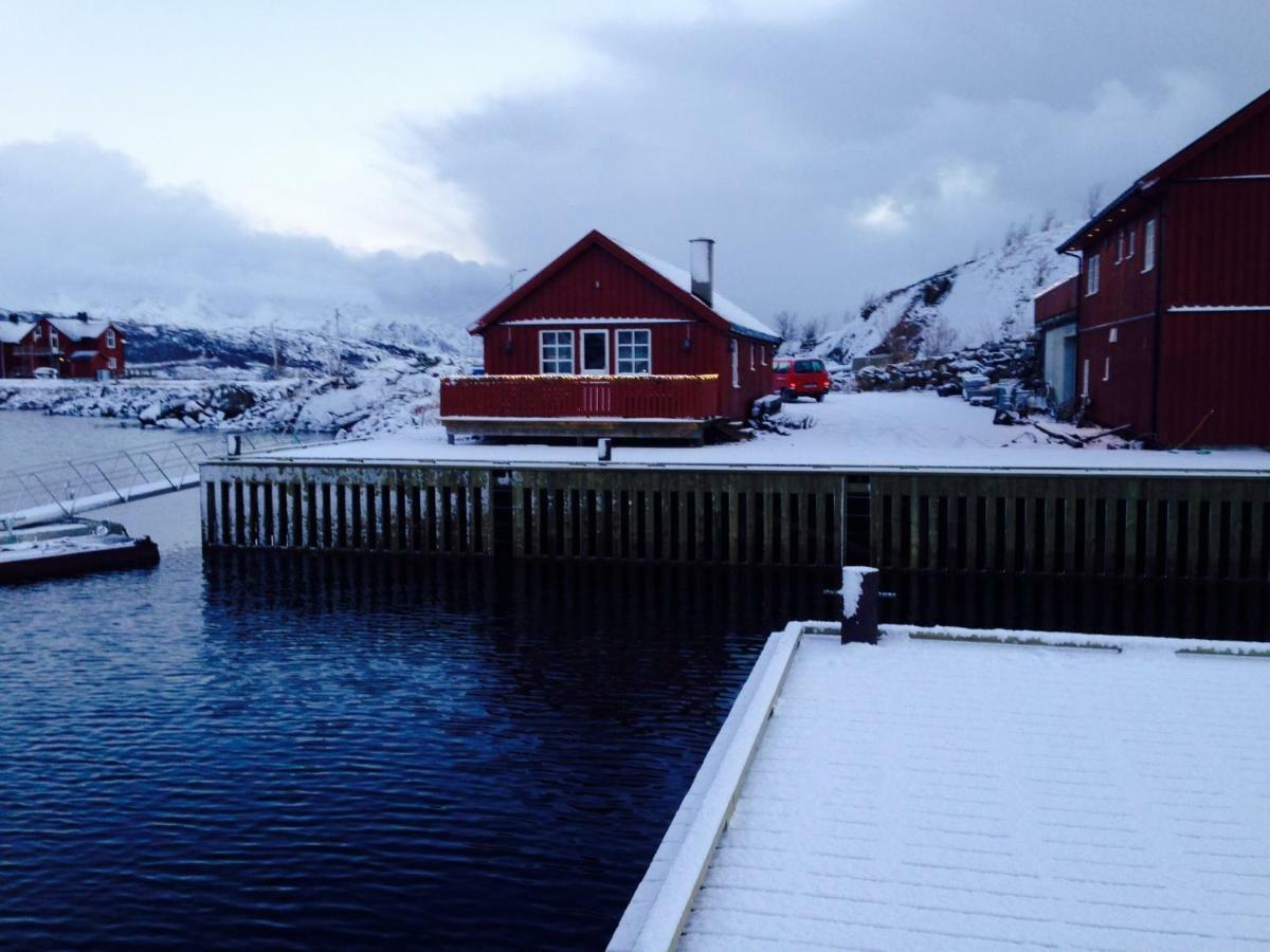 Svolvaergeita * Svolvaer